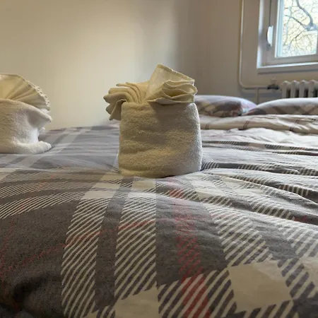 Petridis Comfort *